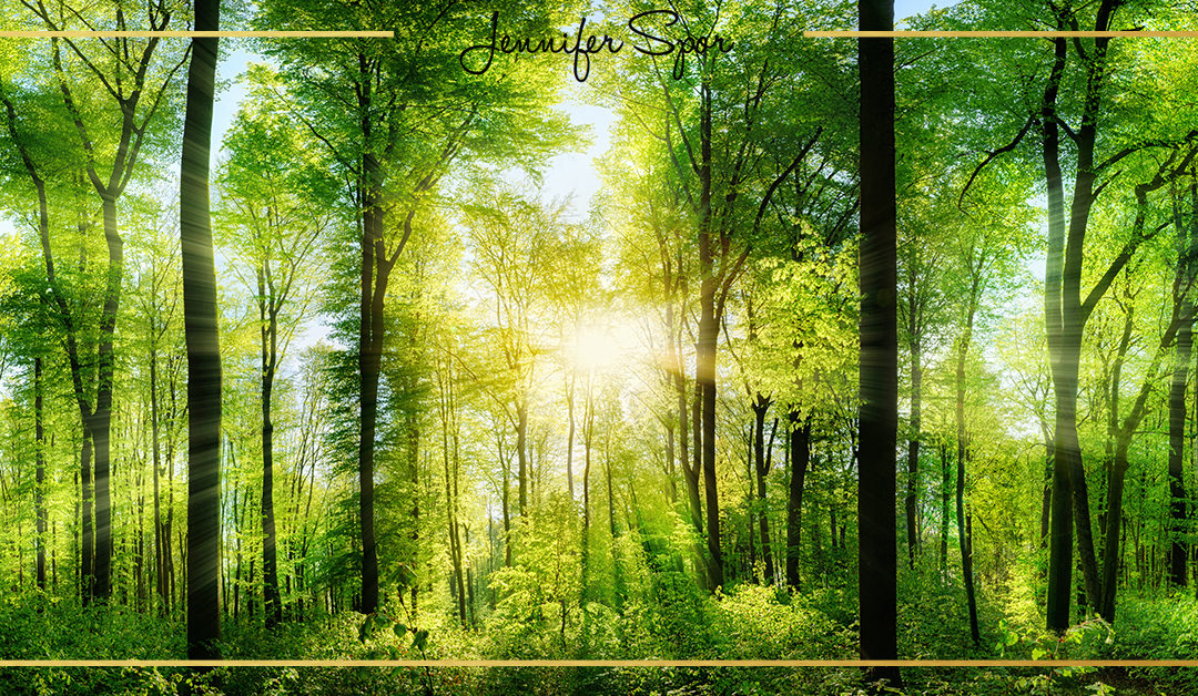 Be Present and Connected in Your Life Without Taking More Time